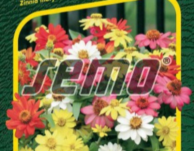 Semo Cínia ´Zahara mix´