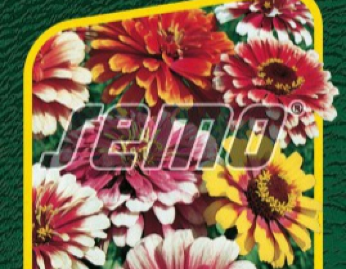 Semo Cínia ´Caroussel´