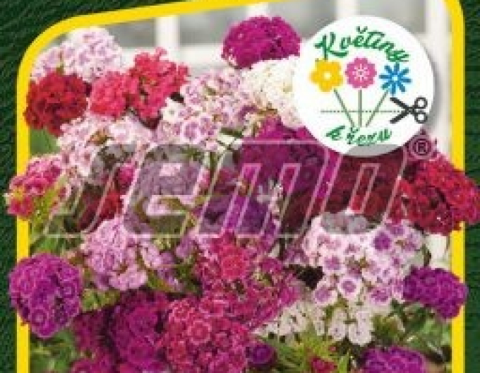 Semo Klinček bradatý ´Fragrance Mix´