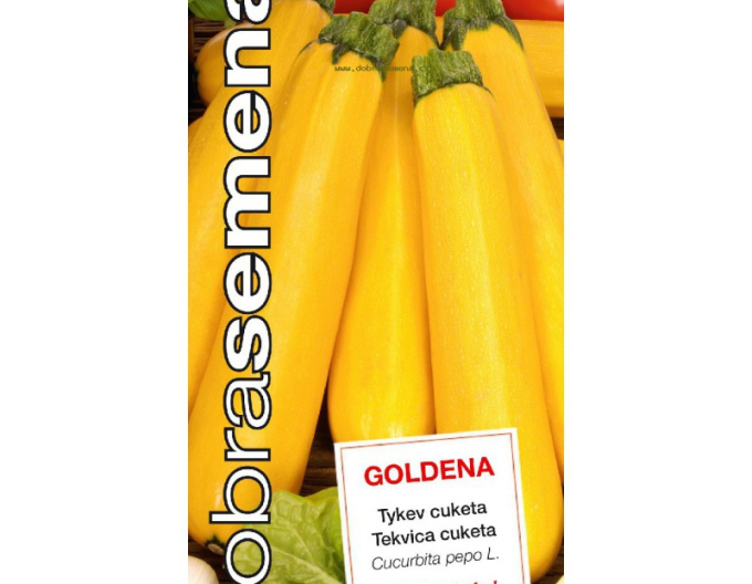 Dobrá semena Tekvica cuketa  ´Goldena´