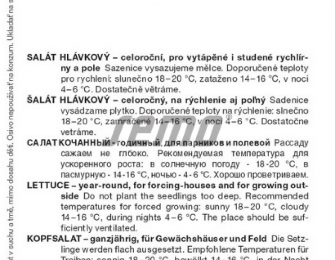 Semo Šalát hlávkový ´Batavus´