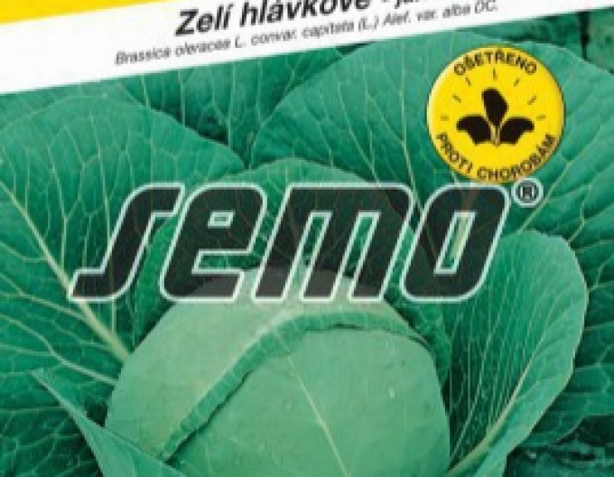 Semo Kapusta hlávková ´Sláva F1´