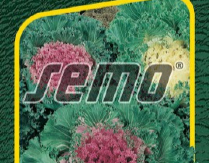 Semo Kel okrasný ´Zmes Farieb´