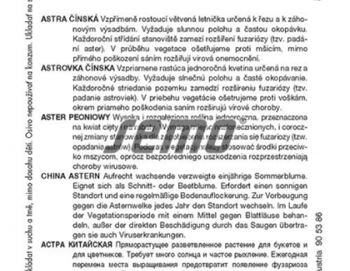 Semo  Astra čínska ´Pompon Zmes´