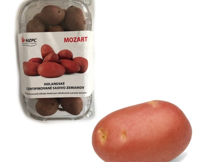 Sadbové zemiaky ´Mozart´ vanička cca 1kg