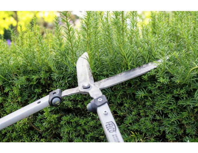 FELCO 250 - 57 nožnice na živý plot 57cm