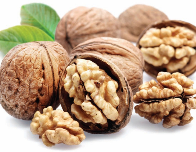 Orech "Seifersdorfský", voľnok.