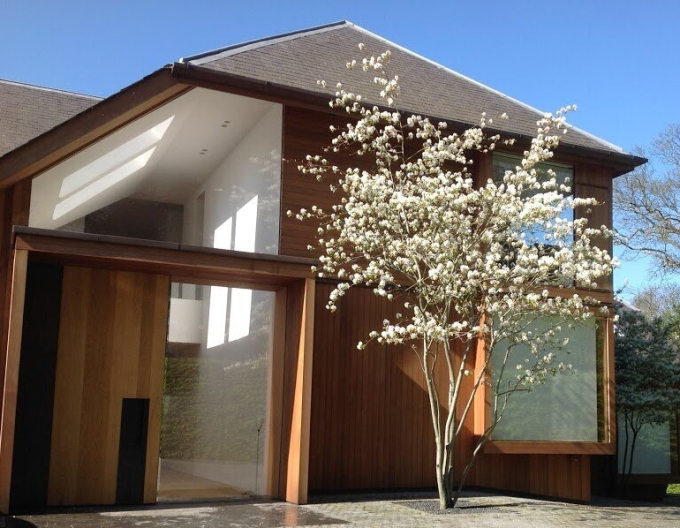 Muchovník Lamarckov 300cm+