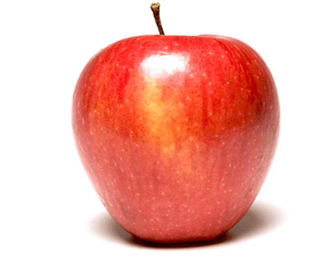 Jabloň ´Pinova´ zimná, podp. A2, kont. 5l