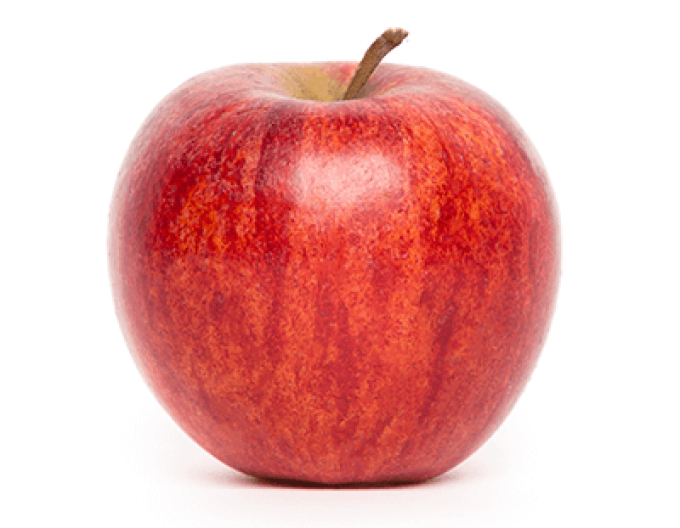 Jabloň ´Gala Mitchgla´ jesenná 5l