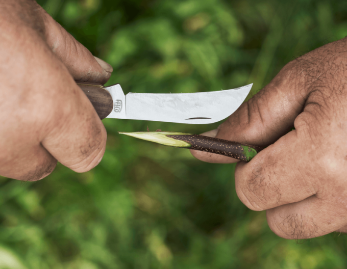 FELCO 511  Očkovací nôž na vinič