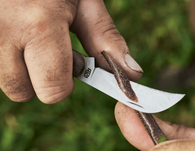 FELCO 511  Očkovací nôž na vinič