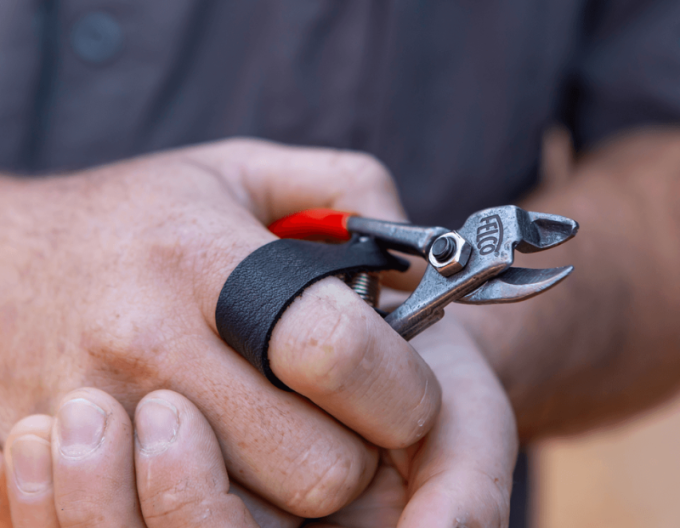 FELCO 330  Nožnice na ovocie