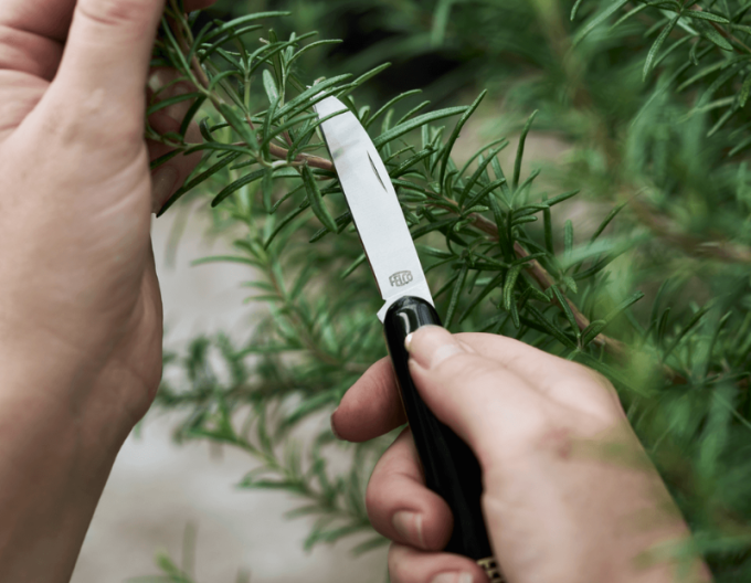 FELCO 520 Floristický nôž