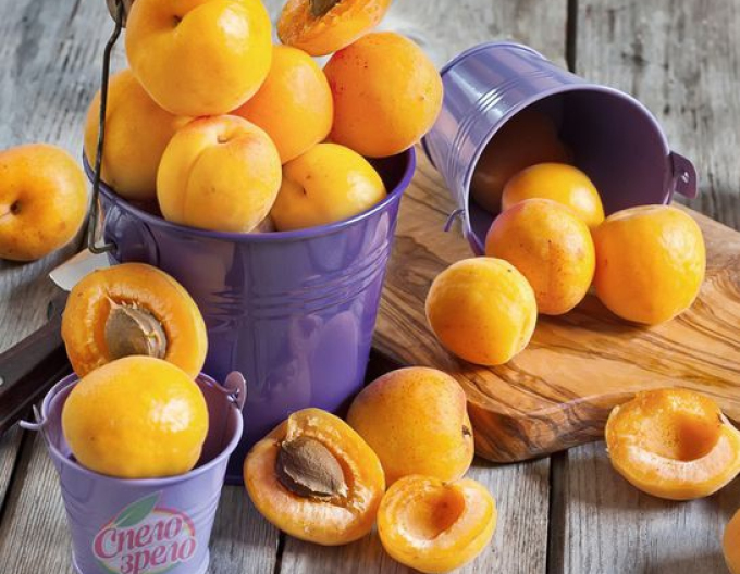 Marhuľa "Karola" neskorá