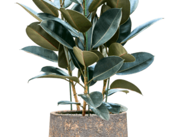 Kvetináč hlinený ´Baq Atlas Darcy Brown´