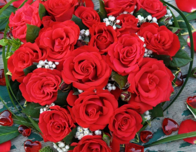 Ruža ´Grand Amore´