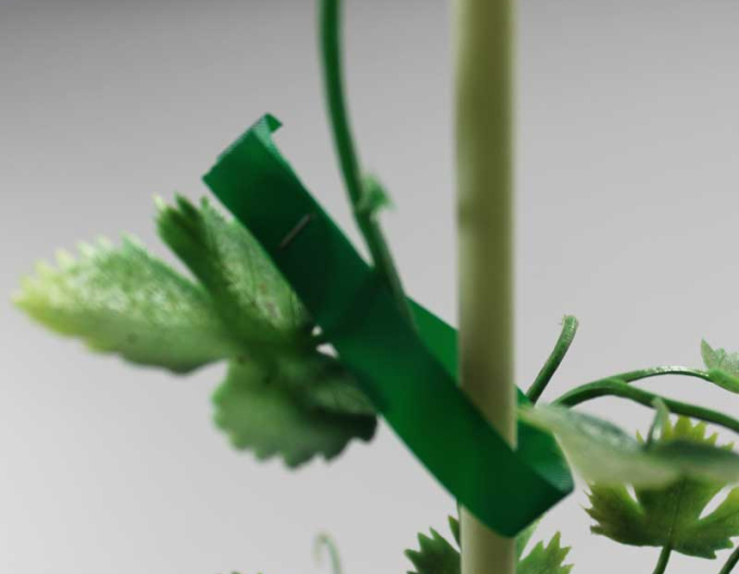 MAX Páska- vyväzovací materiál pre kliešte MAX HTR