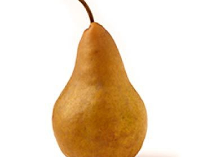 Hruška "Boscova fľaša" jesenná, podp. Dula medzištep Konferencia, voľnok.